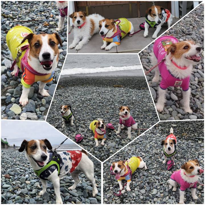 A4b97879 dea9 425e a048 9ba34d6eb2a4 1654988397300