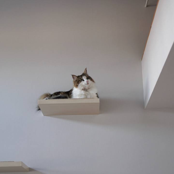 A4b984de 1d5f 4384 b416 cfd98d0e709c 1580719887635