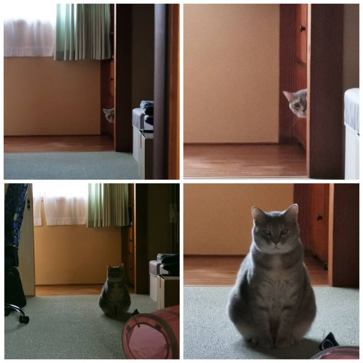 A4b9853e d502 4537 91d2 f26342cdad50 1623892191742