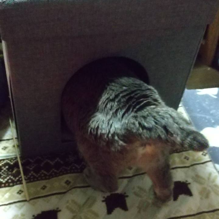 A4b9a0fc 771e 4b5b bfe5 0ef1dadfb3d5 1681128580975