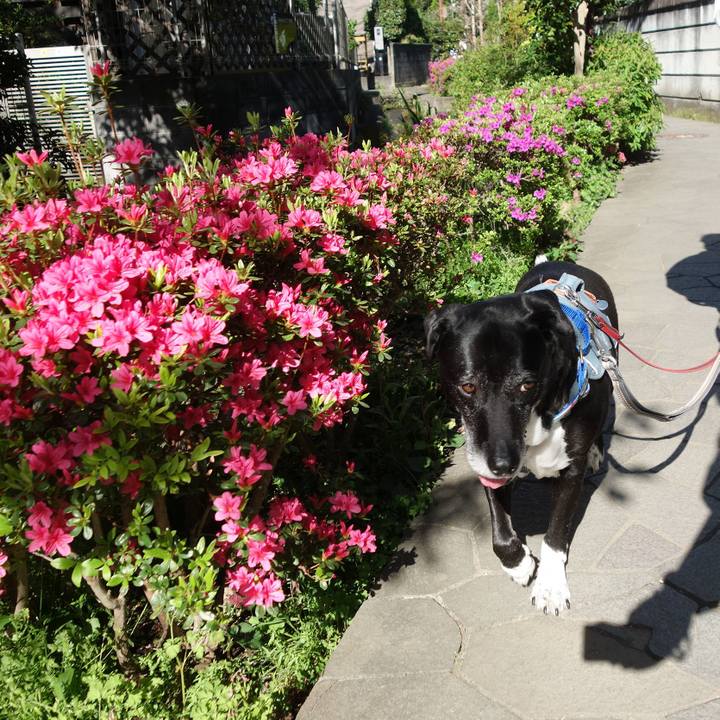 A4ba14ad 0ea6 49e3 9c2b 86cba603dd71 1744763381385