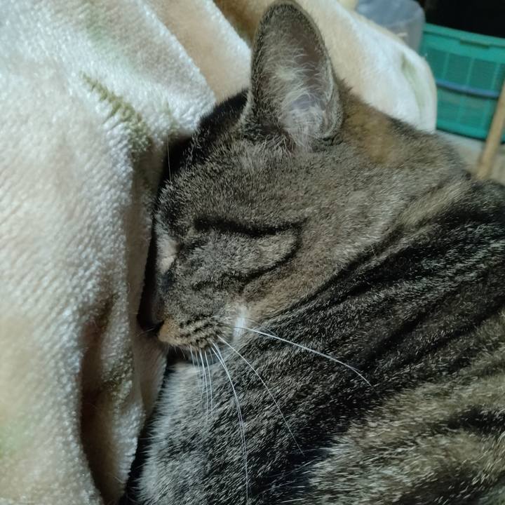 A4ba3e6a 5512 4f30 a892 7e1e32e1d1ea 1672055475809