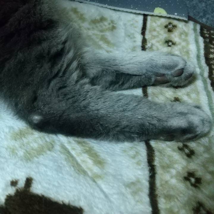 A4ba4f38 d927 46b0 bb02 47403c4a6dc7 1681913826783