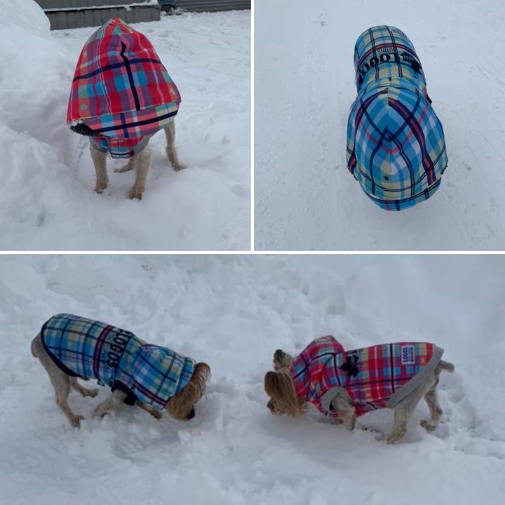 A4baa03a 77ca 4e54 b69e 0cd5e41ccf87 1640169021365