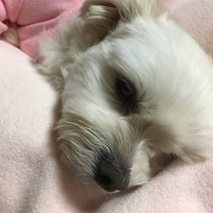 A4bab46c 9d50 49ad a5ca c022514dfdeb 1514463843220