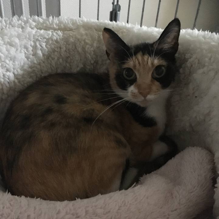 A4bac6e9 3953 4b39 8845 b8f0b48a2e67 1507855200872