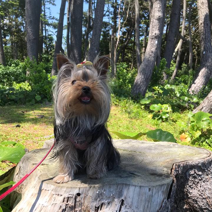 A4bae8b9 5c47 439f 9c8e 00e7bf2f2392 1651552516362