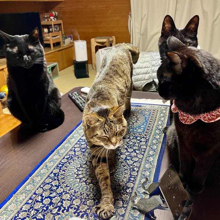 A4bb296e 7367 45c1 b753 a73c92f75122 1738500328593