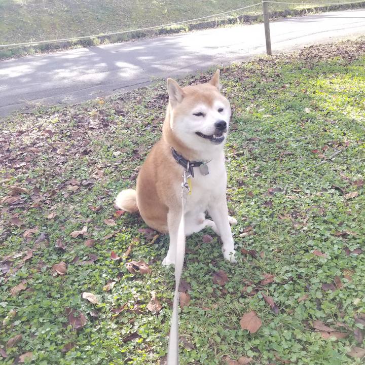 A4bb4dd8 ea50 4eaf 82c4 25218be18f2c 1634535798368