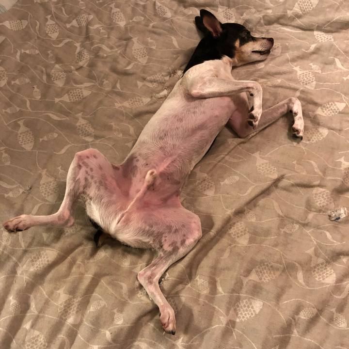 A4bb6197 0edb 4575 8fd5 1b5bd56ae7e7 1537020869682