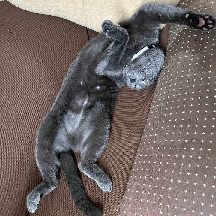 A4bba057 4689 4b38 9237 44a99c54d475 1686981550790