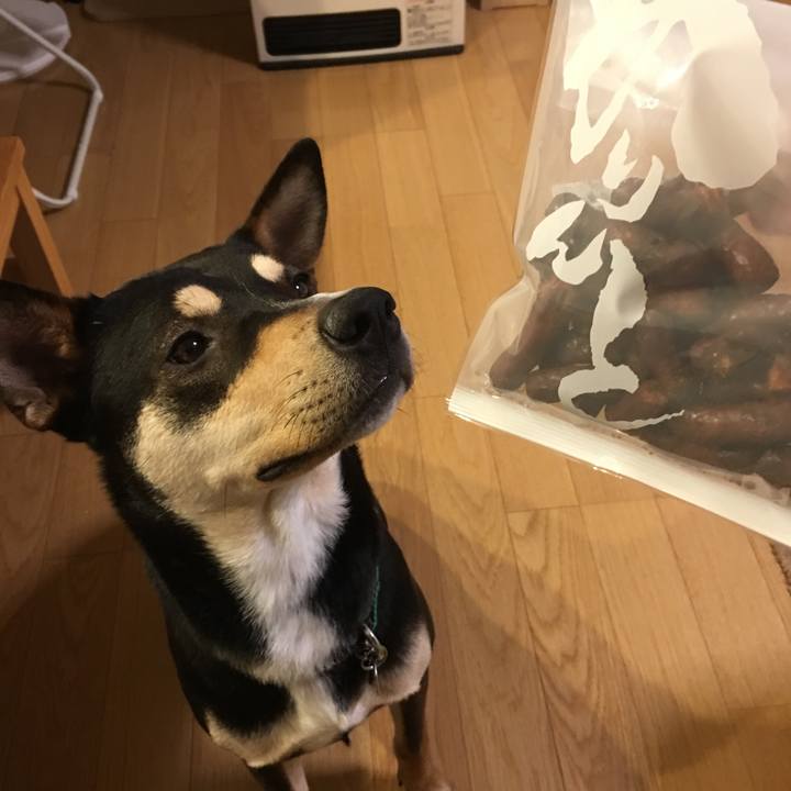 A4bc123b 51c9 43fc bf25 5ab550d02601 1516636427179