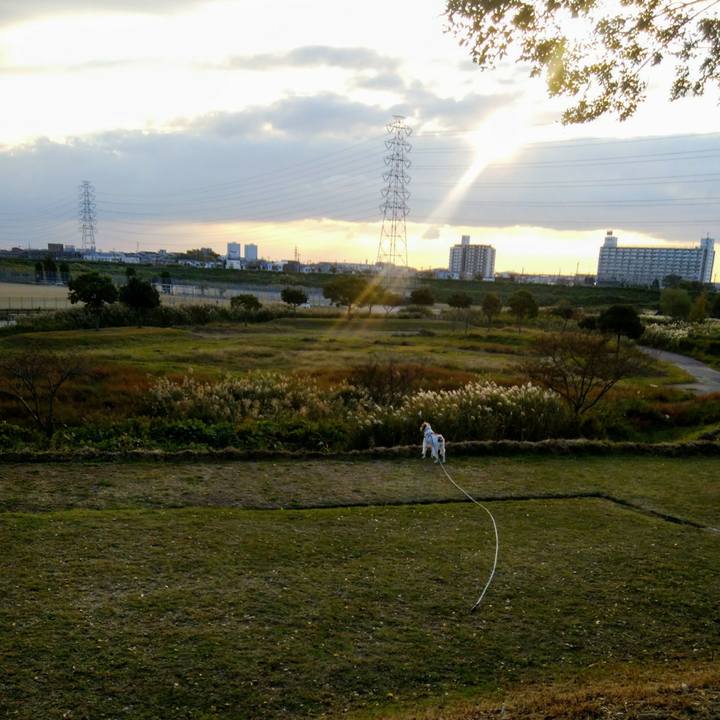 A4bc2cf7 d287 4753 b0c4 141297b1e4f8 1541331192454