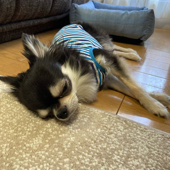 A4bc43f3 fe87 4c5f 813b 3cf1704c969e 1694357343545