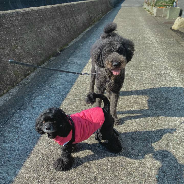 A4bc53ab 67db 498e 9fd5 89cf4d18bfa6 1644540236733