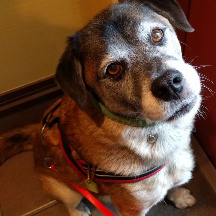 A4bc75c8 5c8c 4fdd 96cd ec7f50ff0a41 1540513314756