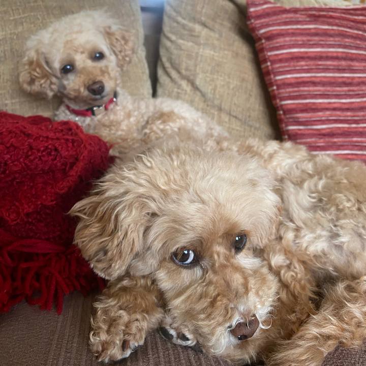 A4bc96d3 b2f3 4cf3 b6b3 e93a4b3a59aa 1624729614534