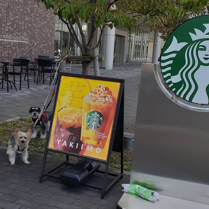 A4bc9a0c 0b78 40b7 bc91 b7baec006801 1634200774640