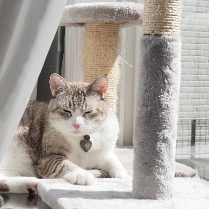 A4bcaade 8e68 4bad 8005 a05247e57aee 1601698081519