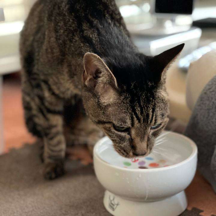 A4bcb7b7 045c 4691 b4a1 07be8167c064 1629762646679