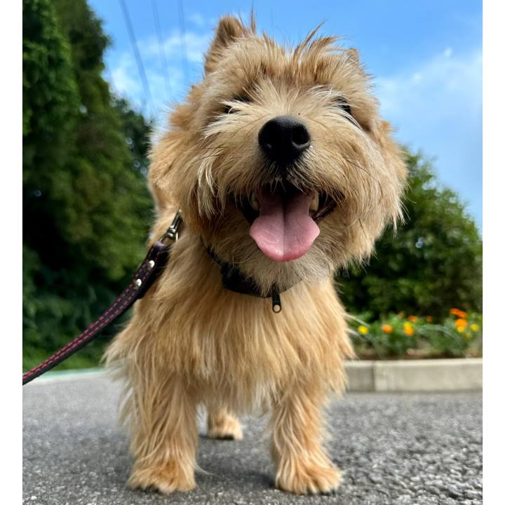 A4bcde7f d4a9 4586 97c3 8aed7d2aecd0 1751550632350