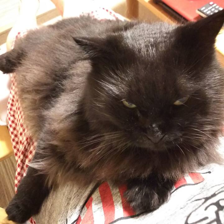 A4bcef1e eb9c 4267 bcdf 6dd0b0328c74 1567509185383