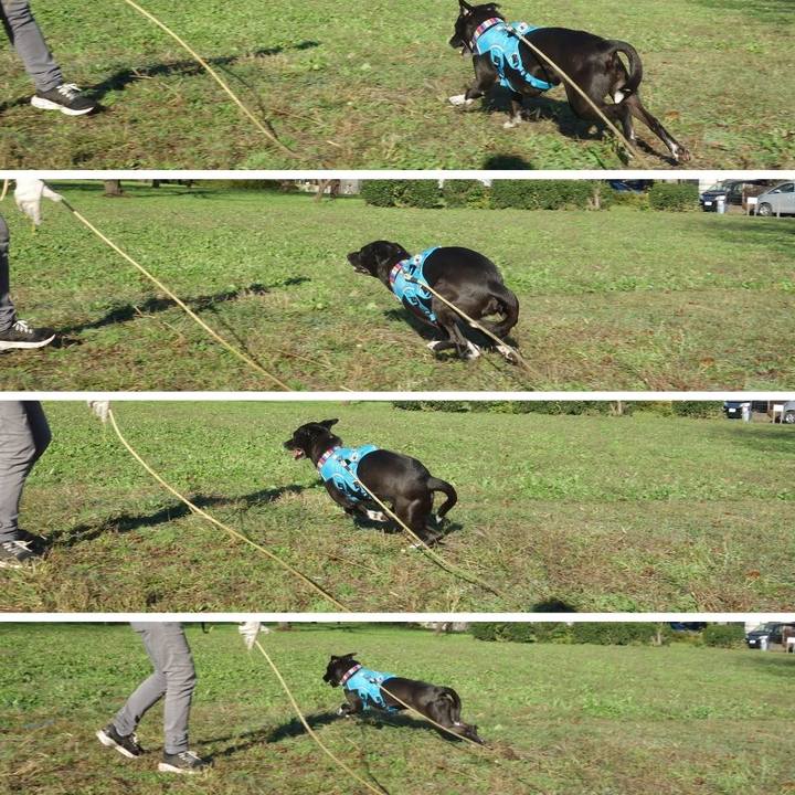 A4bcf1b5 aed0 45e4 9abe 38b324d916d7 1636591658404