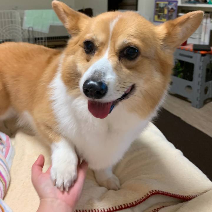 A4bcf1c9 3116 4ad0 97a0 b16a9adf833c 1559881189528