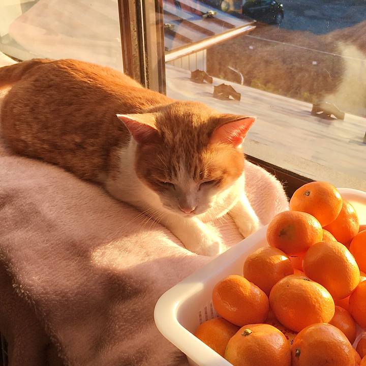 A4bd2f50 59ae 4759 a26d b66bce31ba0f 1574840776934