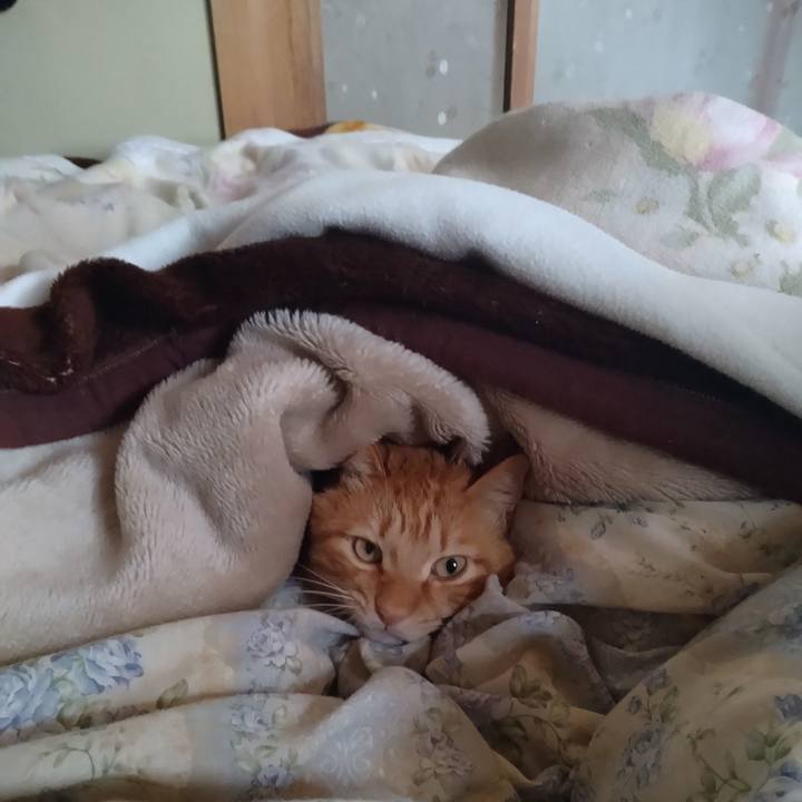 A4bd6b47 d77a 4722 9dcb 85bc0f1f6d6c 1707264144771