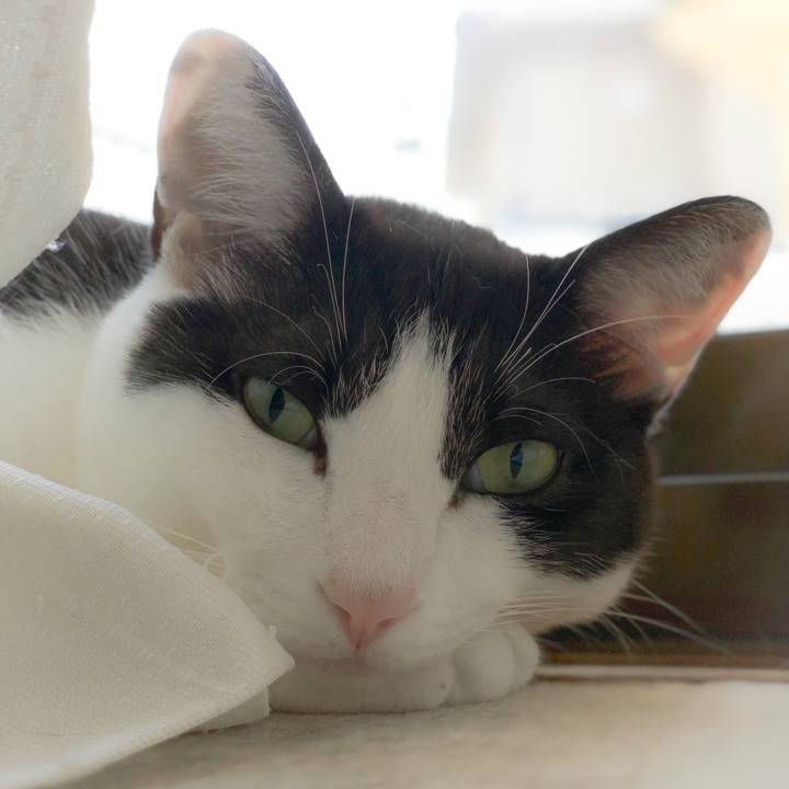 A4bd726f 0998 429c aa52 63348b6738f6 1559008424289