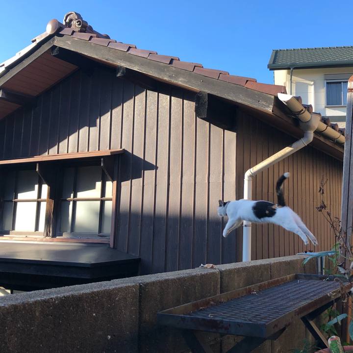 A4bd986d d034 4867 8193 efd8f04d0d62 1633820055272