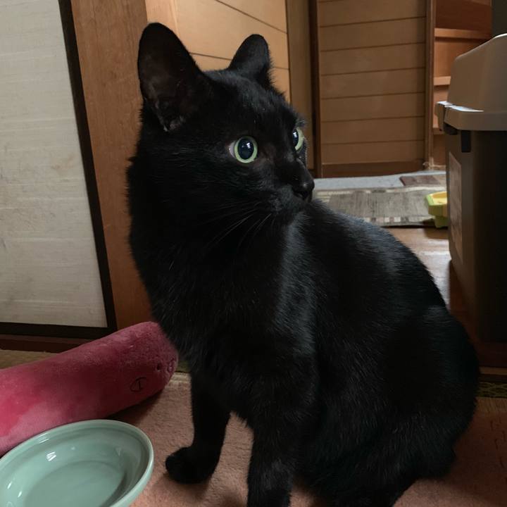 A4bd9978 fe12 4769 a005 374ed1776a15 1539221372656