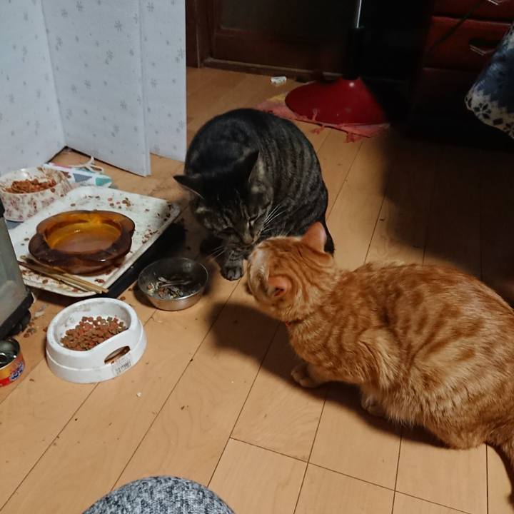 A4bd9bf4 28ca 4255 8683 6abbb331730a 1644093384468