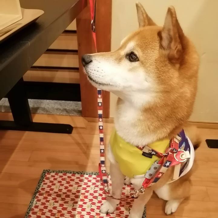 A4bda131 7837 4f17 b167 59c5aa46fb3c 1678862244453