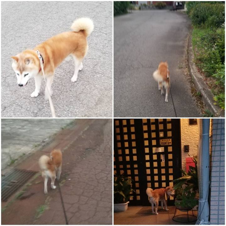 A4bdaa33 2d39 4d1b a1d4 32a1a2cb82d0 1754389140650