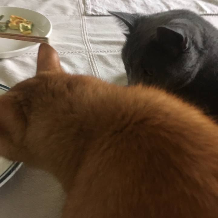 A4bdbec8 9571 4a77 a130 27218e549451 1662508974789