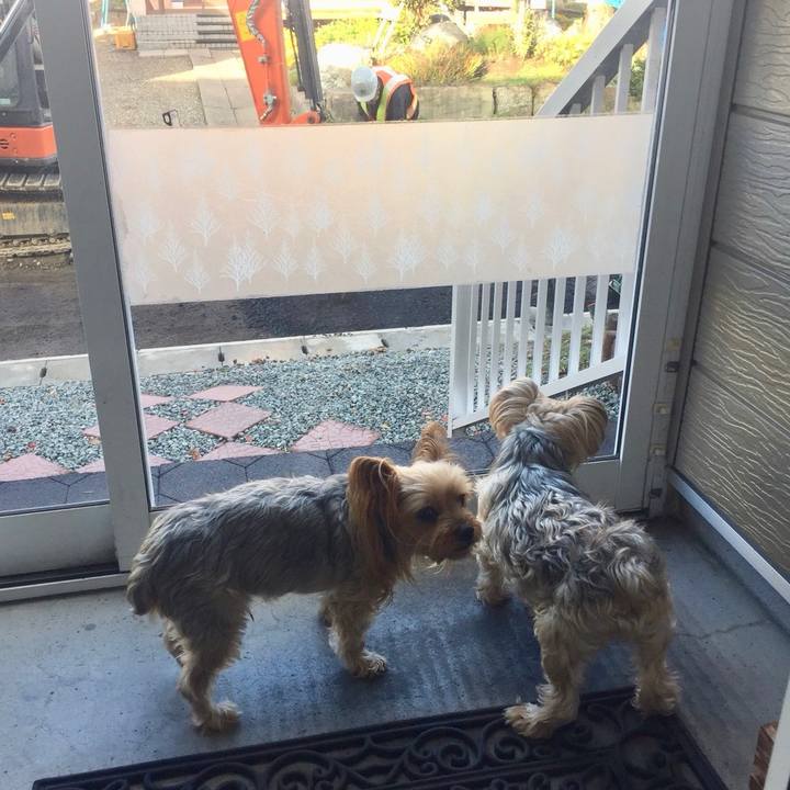 A4bdd584 a5fe 4ff4 8fbe dac2a201d5b2 1541066651383