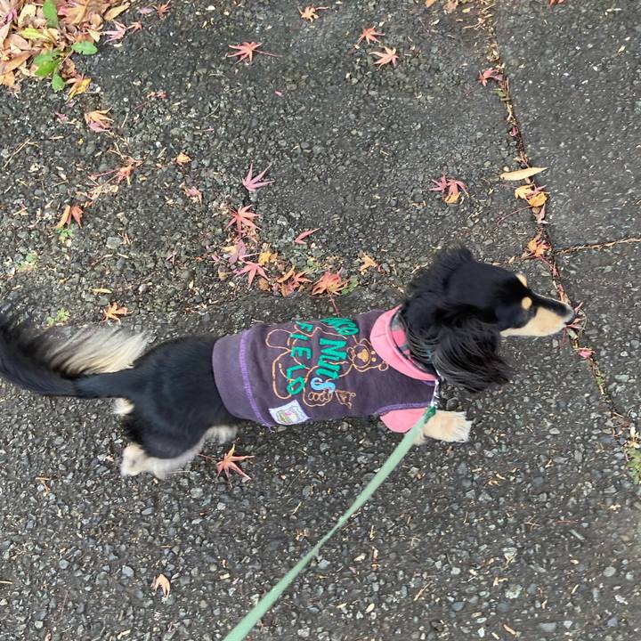 A4bdea6d 8582 4f38 805c 2017447602ab 1734758130149