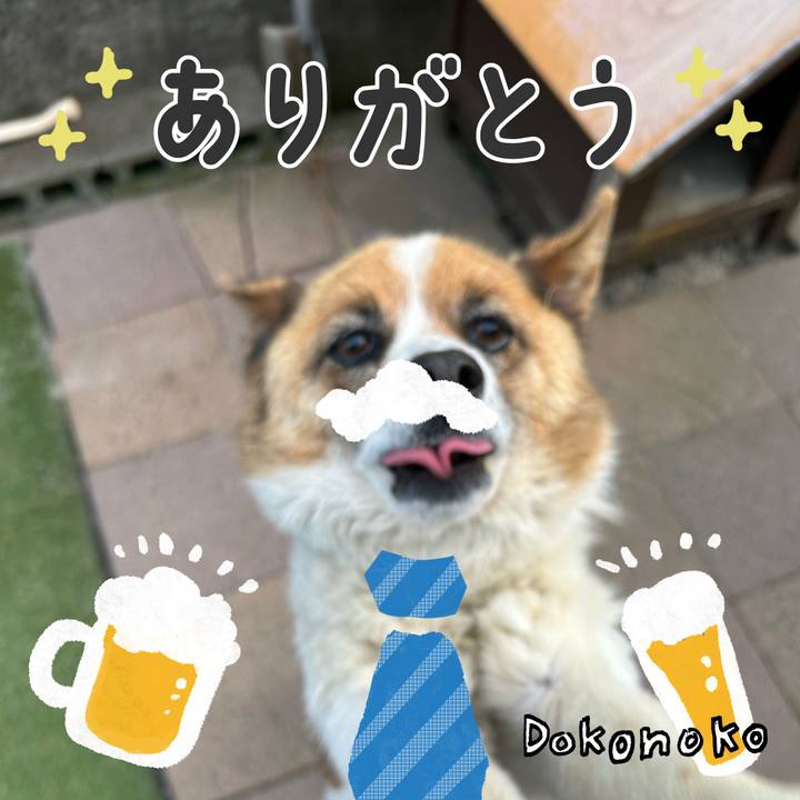A4bdff34 a263 4cea ba46 517740e31ce2 1717666193858