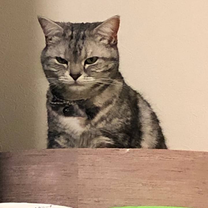 A4be1b6d 1a69 4408 9963 db4ef770700c 1583059695054