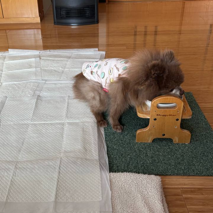 A4be378a 8f8b 4605 80b7 a613d111fe97 1768178986284