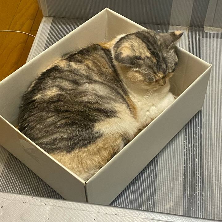 A4be79eb 0e1c 467a 9bba 05d3e4d44b51 1652805697243