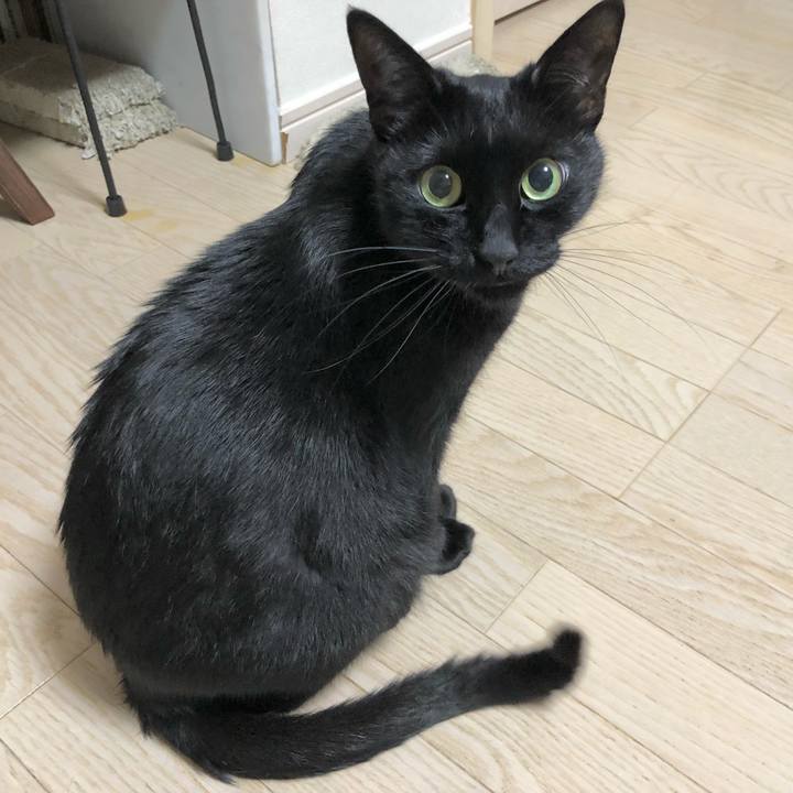 A4be7c49 2a17 4395 ad55 b47d7427063a 1639572861622