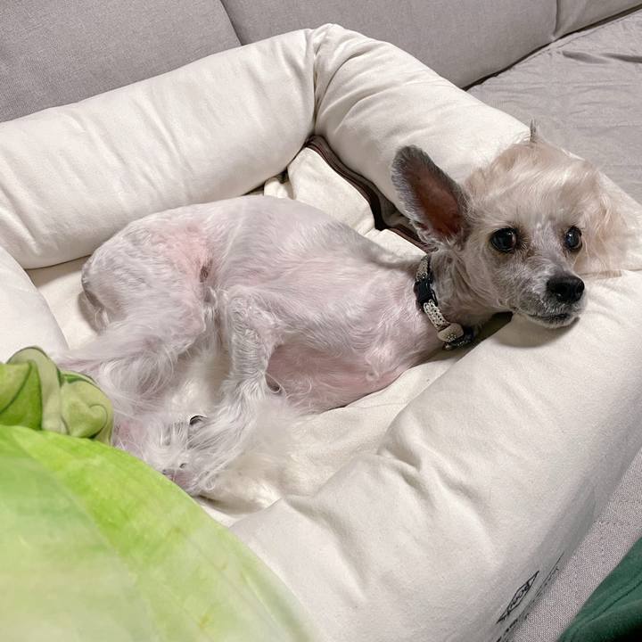 A4beaee3 4b0d 4a26 bc56 00243eb604de 1764575109491