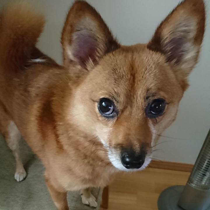 A4bef5b2 0d8f 4684 a40b 88b4e3a6010c 1542086289093