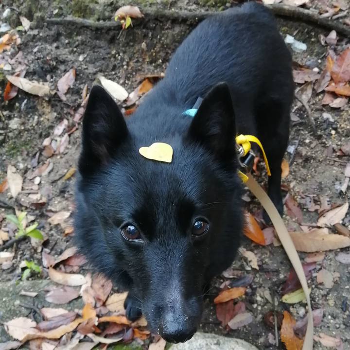 A4bef7d7 4e93 4a7d 85e8 81dbd834aca3 1669240927099