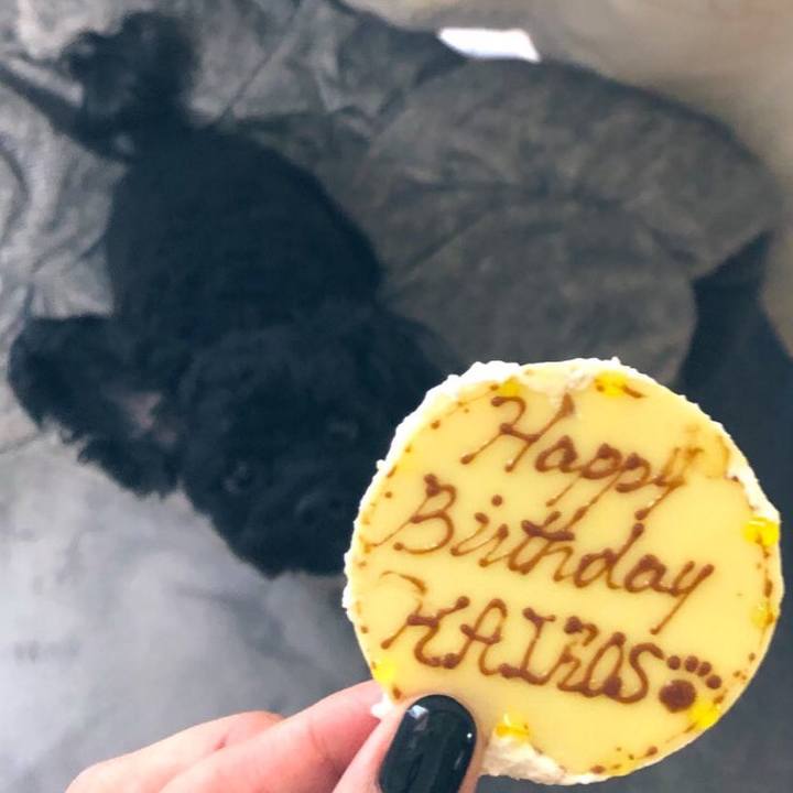 A4bf15ef e5ac 45a9 af9c 98fb85b11d4a 1606531184365