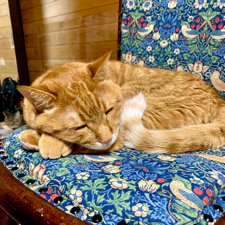 A4bf281e bab0 4fa1 9ac4 f9f38c932938 1624535885923