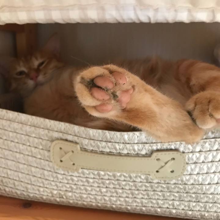 A4bf3778 610d 4de4 b351 ae3f91dd46ee 1528418112006